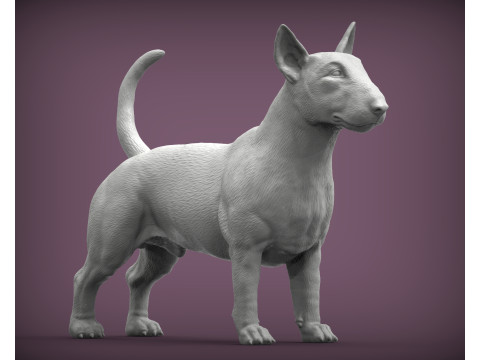 Bull terrier 3D Print Model