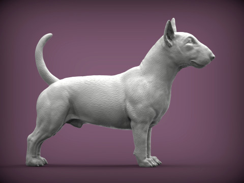 Bull terrier 3D Print Model