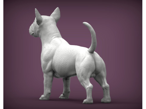 Bull terrier 3D Print Model