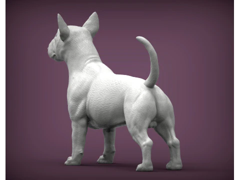 Bull terrier 3D Print Model