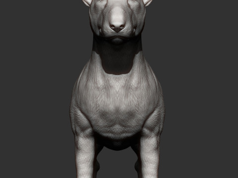 Bull terrier 3D Print Model