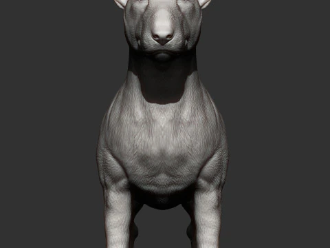 Bull terrier 3D Print Model