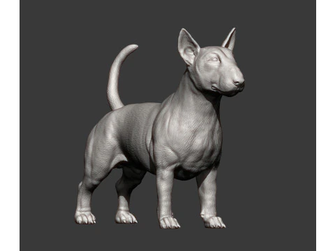 Bull terrier 3D Print Model
