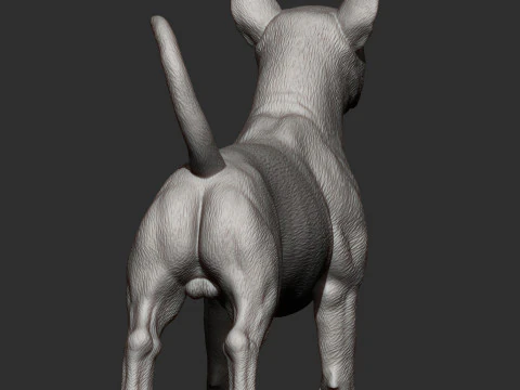 Bull terrier 3D Print Model