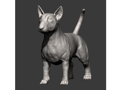 Bull terrier 3D Print Model