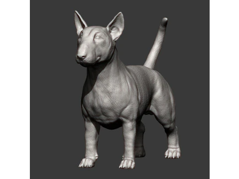 Bull terrier 3D Print Model