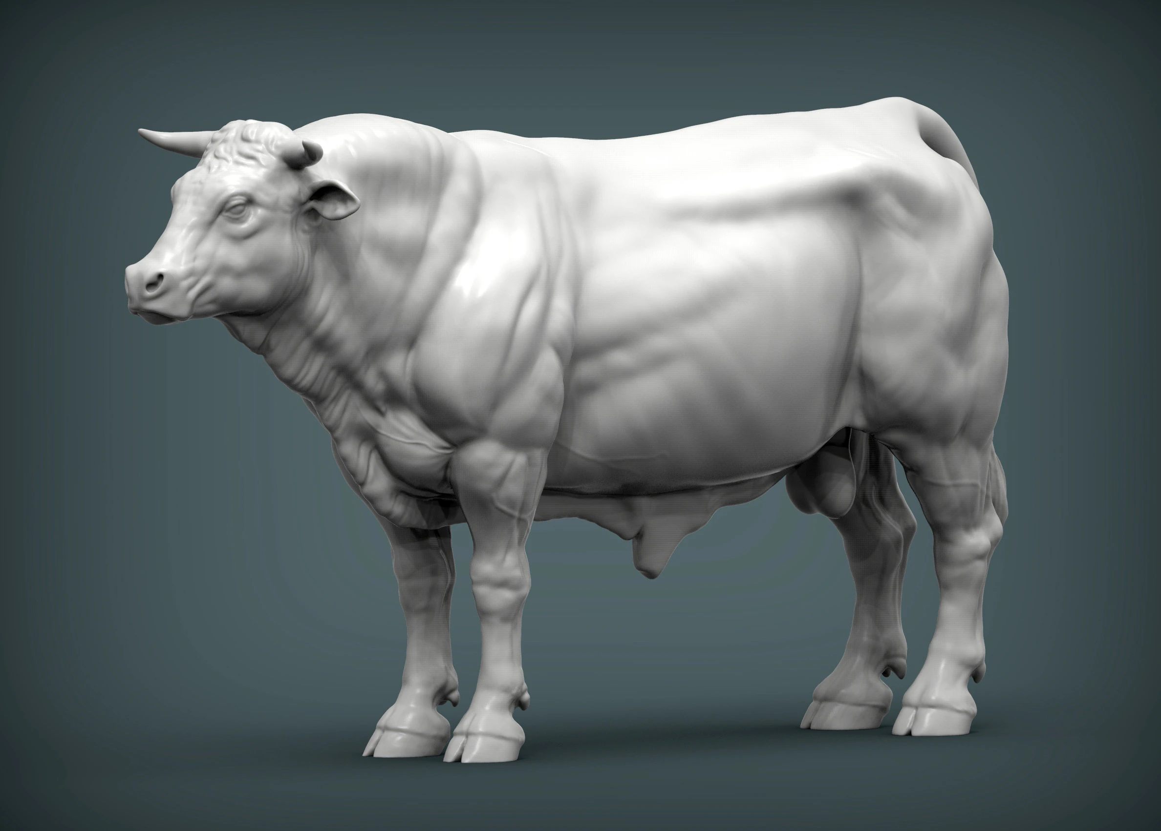 Limousin bull 3D Print Model .c4d .max .obj .3ds .fbx .stl .blend 