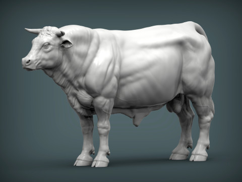 Limousin bull 3Dプリントモデル