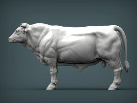 Limousin bull 3D Print Model