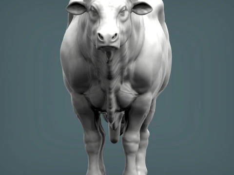 Limousin bull 3D Print Model