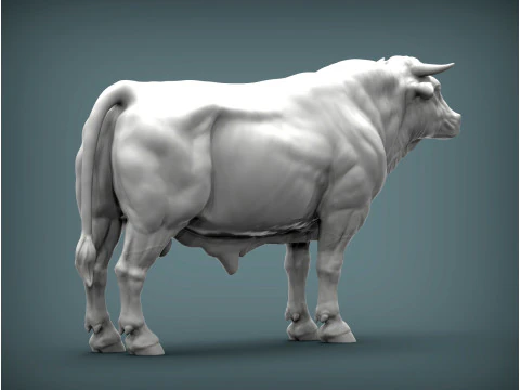 Limousin bull 3D Print Model