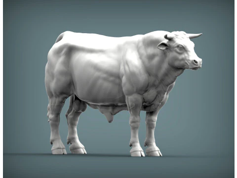 Limousin bull 3D Print Model