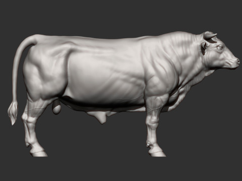 Limousin bull 3D Druckmodell
