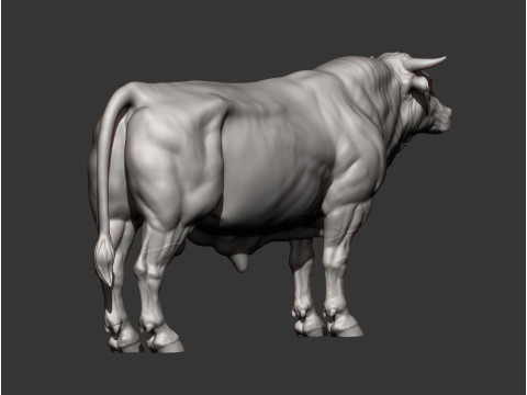 Limousin bull 3D Druckmodell