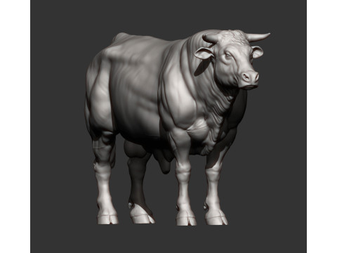 Limousin bull 3D Druckmodell