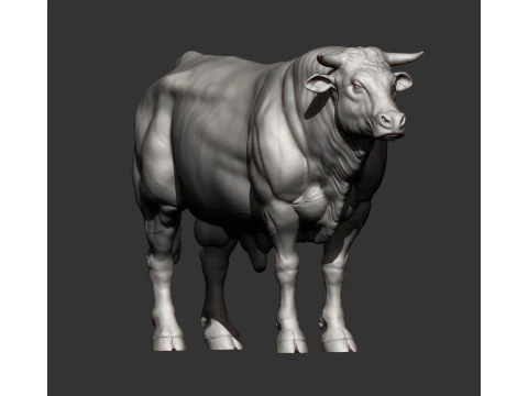 Limousin bull 3D Print Model