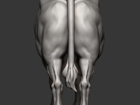 Limousin bull 3D Print Model