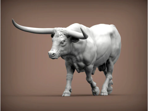 Texas Longhorn 3D Print Model