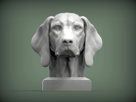 Hungarian vizsla 3D Принт Модель