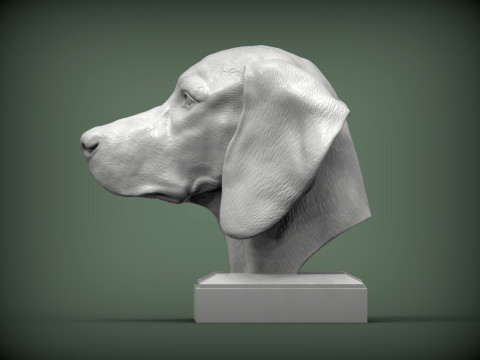 Hungarian vizsla 3D Принт Модель