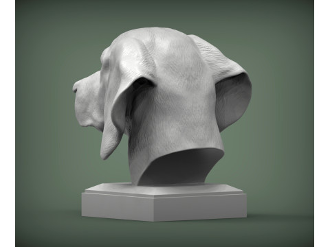 Hungarian vizsla 3D Принт Модель