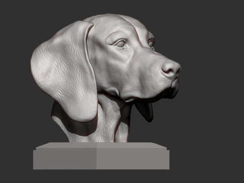 Hungarian vizsla 3D Принт Модель
