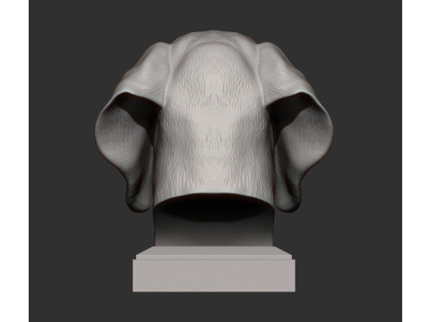 Hungarian vizsla 3D Принт Модель