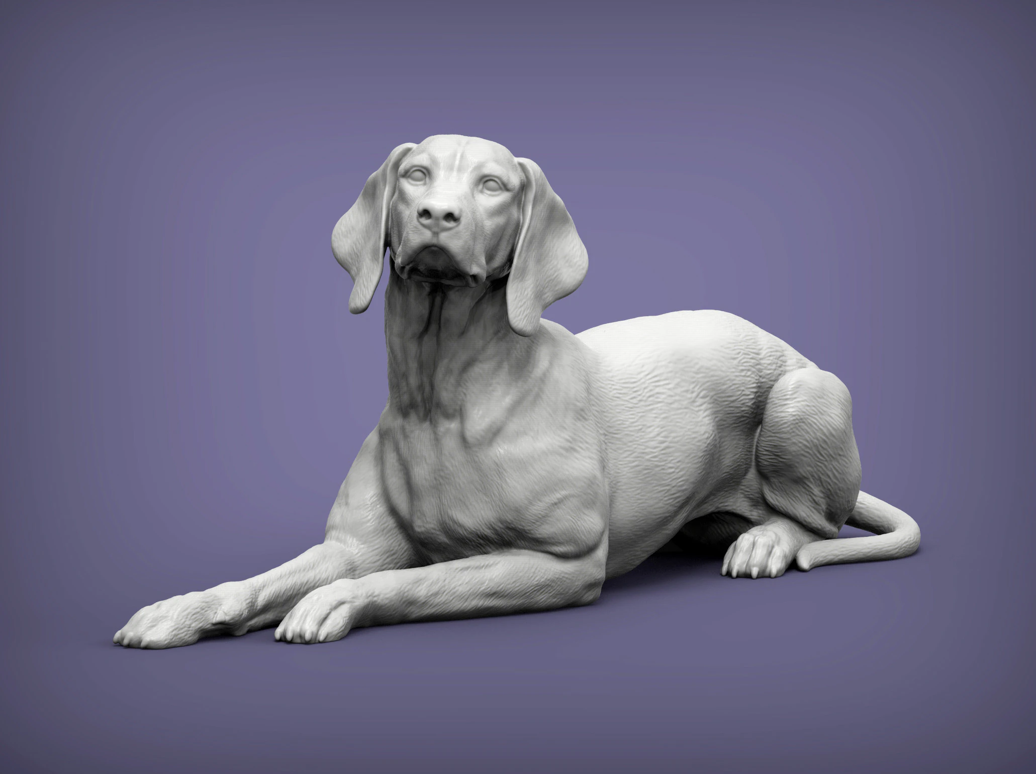 Hungarian vizsla 3D Print Model .c4d .max .obj .3ds .fbx .stl .blend 