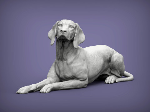 Hungarian vizsla 3D-printmodel