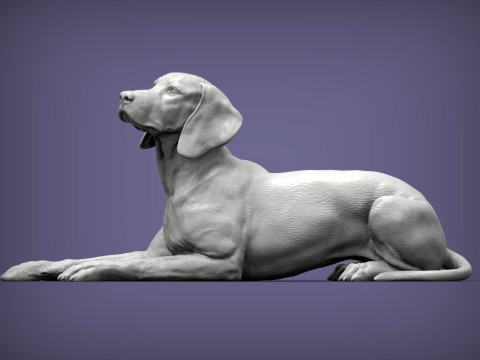 Hungarian vizsla 3Dプリントモデル