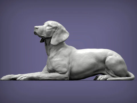 Hungarian vizsla 3D Print Model