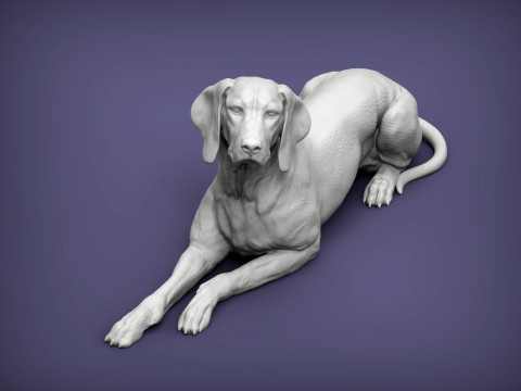 Hungarian vizsla 3Dプリントモデル