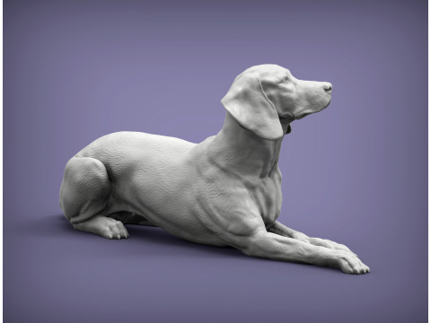 Hungarian vizsla 3Dプリントモデル