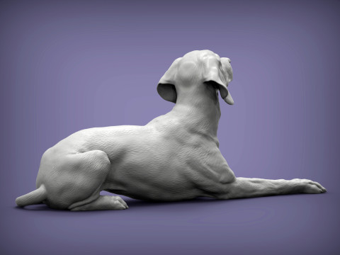Hungarian vizsla 3Dプリントモデル