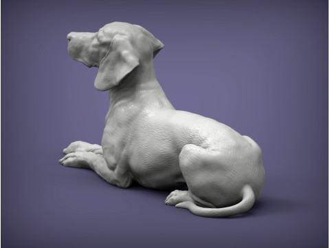 Hungarian vizsla 3Dプリントモデル