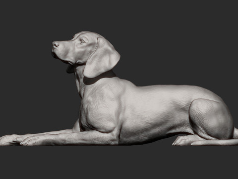 Hungarian vizsla 3Dプリントモデル