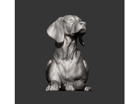 Hungarian vizsla 3Dプリントモデル