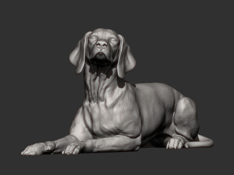 Hungarian vizsla 3Dプリントモデル
