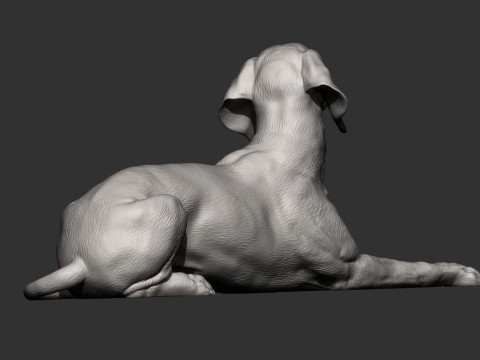 Hungarian vizsla 3Dプリントモデル