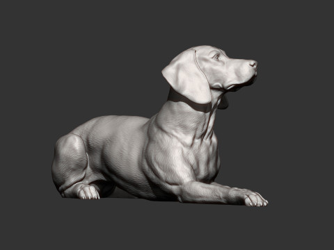 Hungarian vizsla 3Dプリントモデル