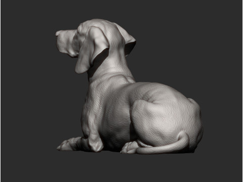 Hungarian vizsla 3Dプリントモデル