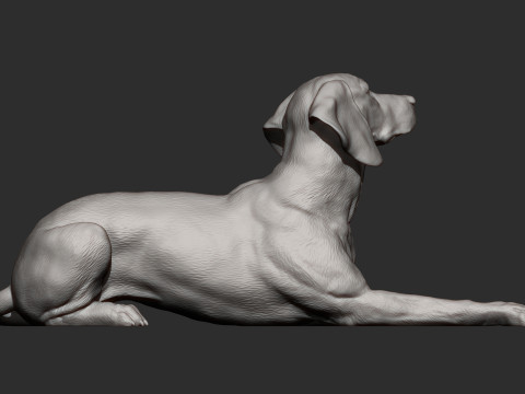 Hungarian vizsla 3Dプリントモデル