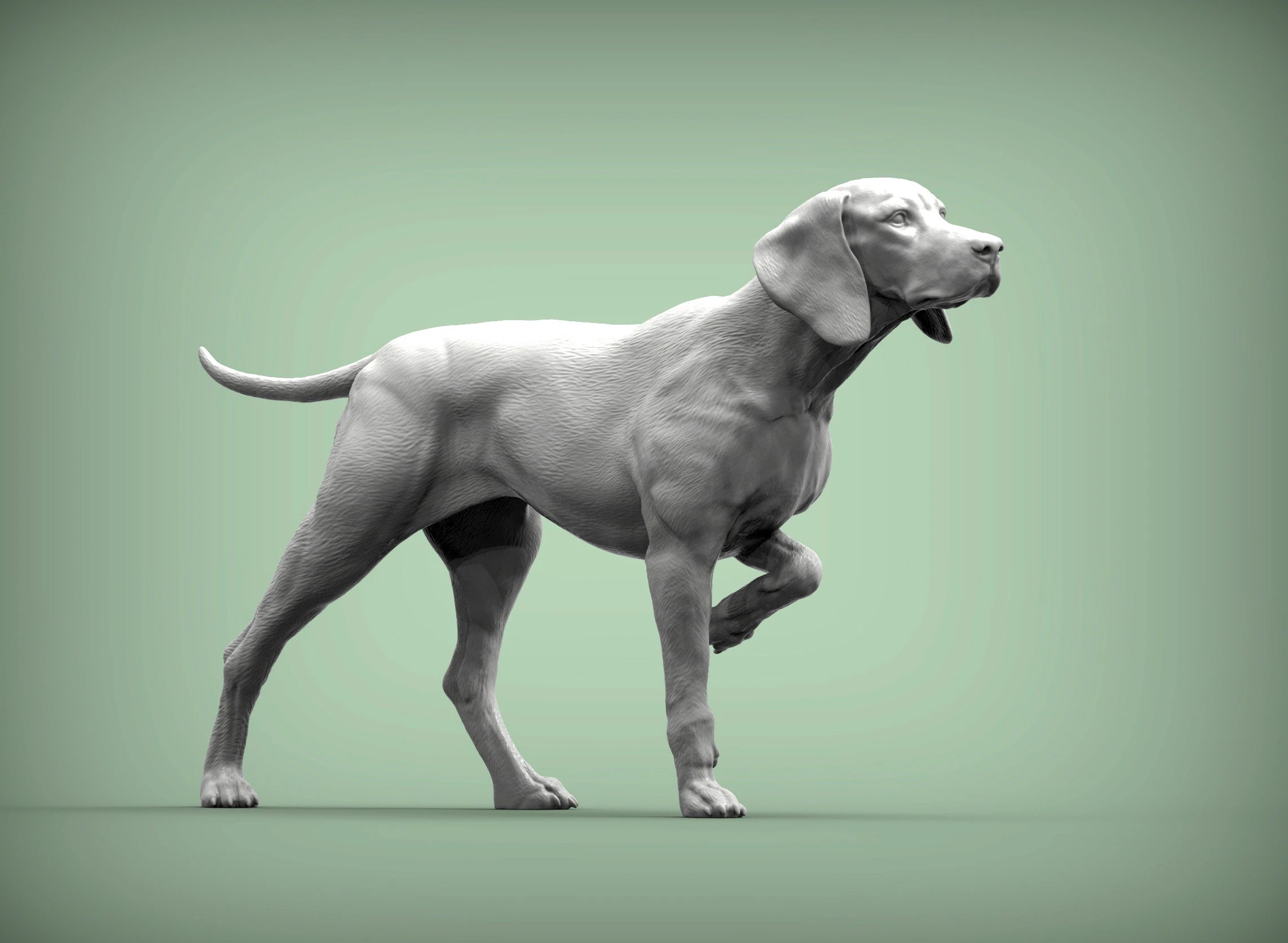 Hungarian vizsla bas-relief 3D Print Model .c4d .max .obj .3ds .fbx .stl .blend 