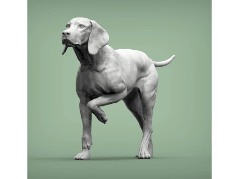Hungarian vizsla bas-relief 3D Print Model