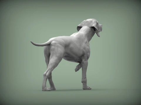 Hungarian vizsla bas-relief 3D Print Model
