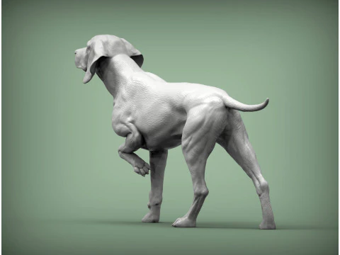 Hungarian vizsla bas-relief 3D Print Model