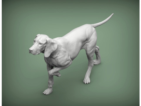 Hungarian vizsla bas-relief 3D Baskı Modeli