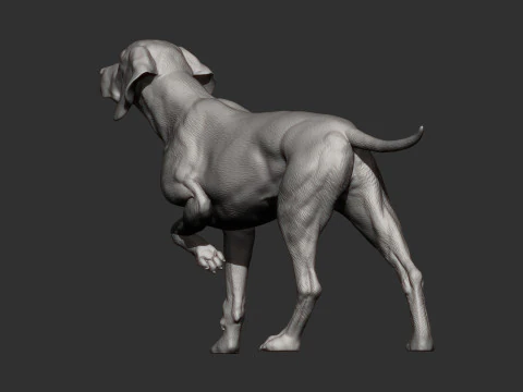 Hungarian vizsla bas-relief 3D Print Model