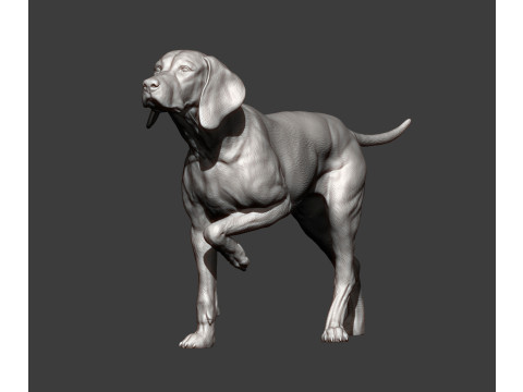 Hungarian vizsla bas-relief 3D Baskı Modeli