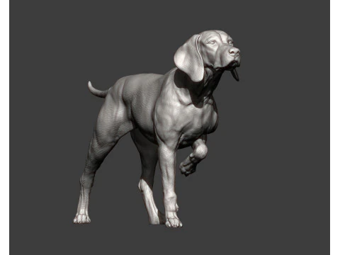 Hungarian vizsla bas-relief 3D Print Model
